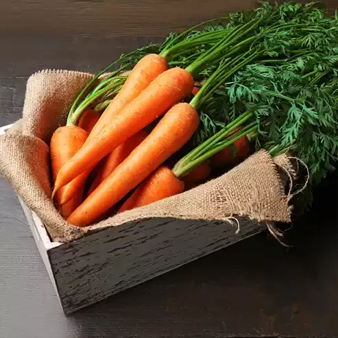 carrot-oil