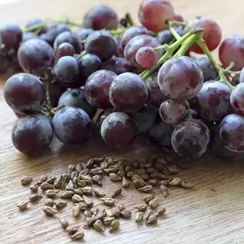 grape-seeds-oil