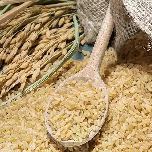 rice-bran-oil